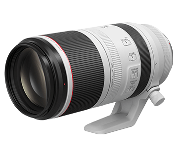 かなページCanonRF100-500mm RF Lenses - RF100-500mm f/4.5-7.1L IS USM - Canon Singapore